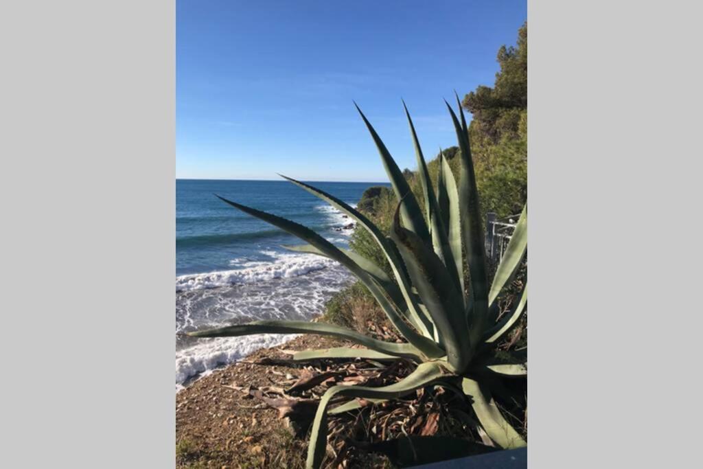 סנרי-סור-מר La Petite Pinede Studio Climatise Proche Plage מראה חיצוני תמונה